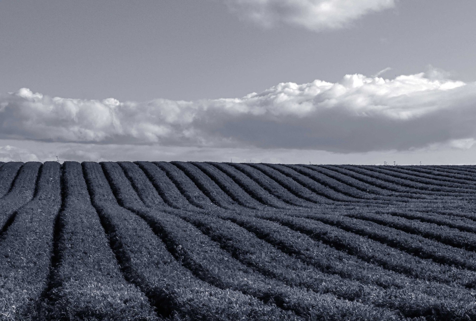 jack-bain-mEgPe7RSBTc-unsplash